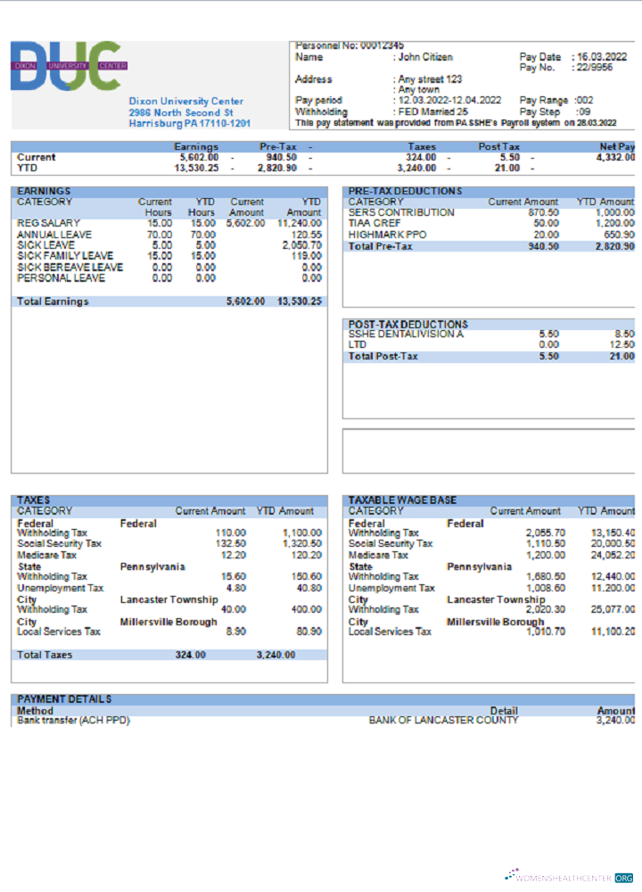 Download USA Dixon University Center educational company pay stub Photoshop template